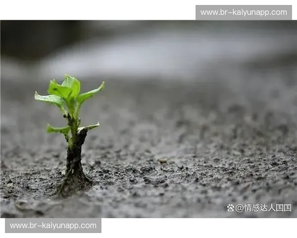 绝处逢生：2013总决赛G6，那记改写命运的“神迹之箭”